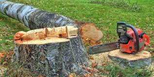 Best Tree Preservation Services  in Tullytown, PA