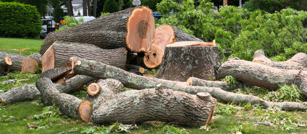 Best Firewood Processing and Delivery  in Tullytown, PA